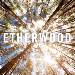 Etherwood - Etherwood (2013)