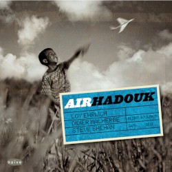 Hadouk Trio - Air Hadouk (2010)