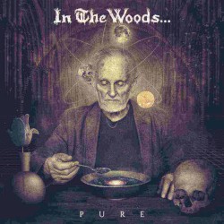 In The Woods... - Pure (2016)