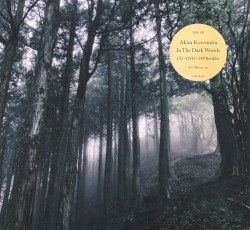 Akira Kosemura - In the Dark Woods (2017)