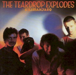 The Teardrop Explodes - Kilimanjaro (1989)