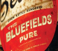 The Bluefields - Pure (2012)