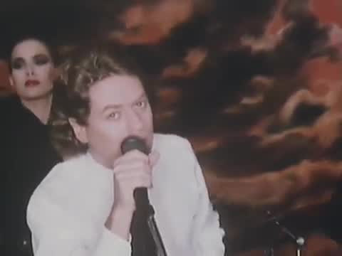 Robert Palmer