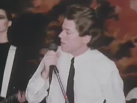 Robert Palmer