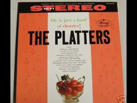 Les Platters