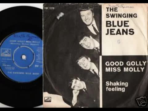 Swinging Blue Jeans